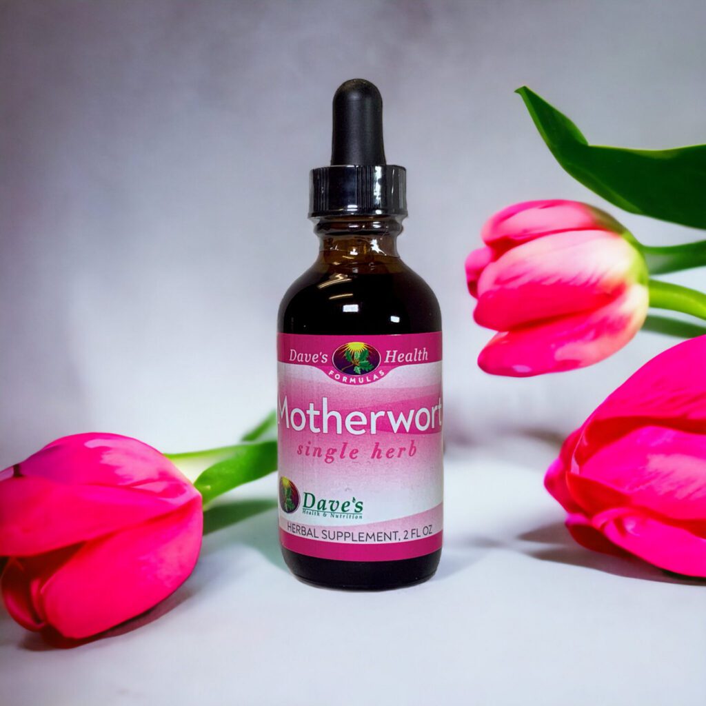 Motherwort Single Herb with tulips.